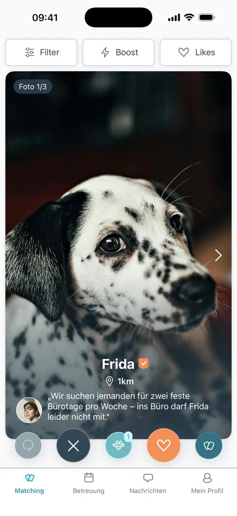 Ein Hundeprofil in der Nachbarschaft