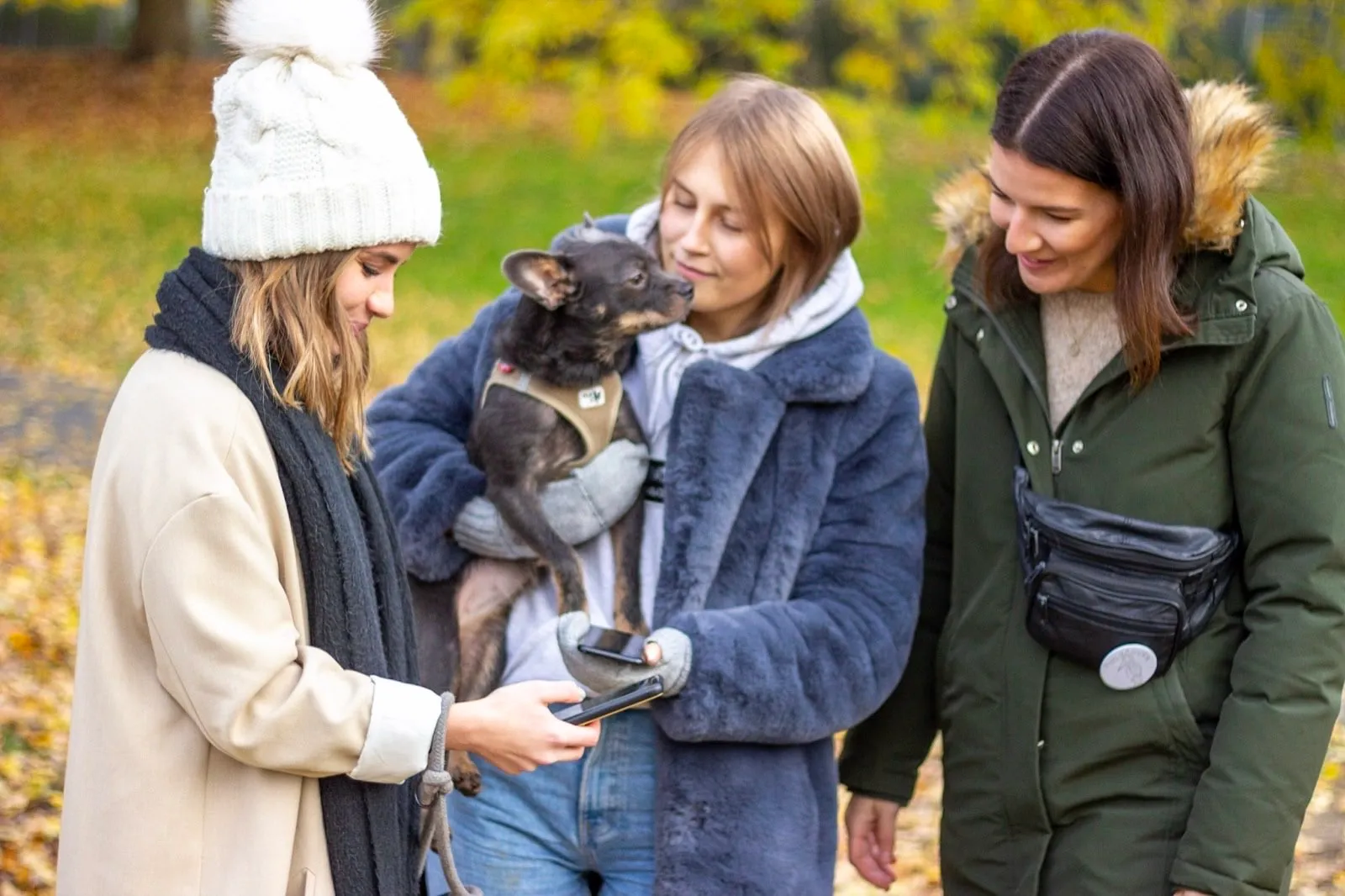 Drei Patzo-Nutzerinnen mit einem kleinen Hund auf einer herbstlichen Hundewiese