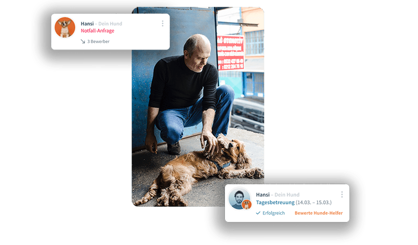 Patzo Hunde App: Netzwerk helfender Hände