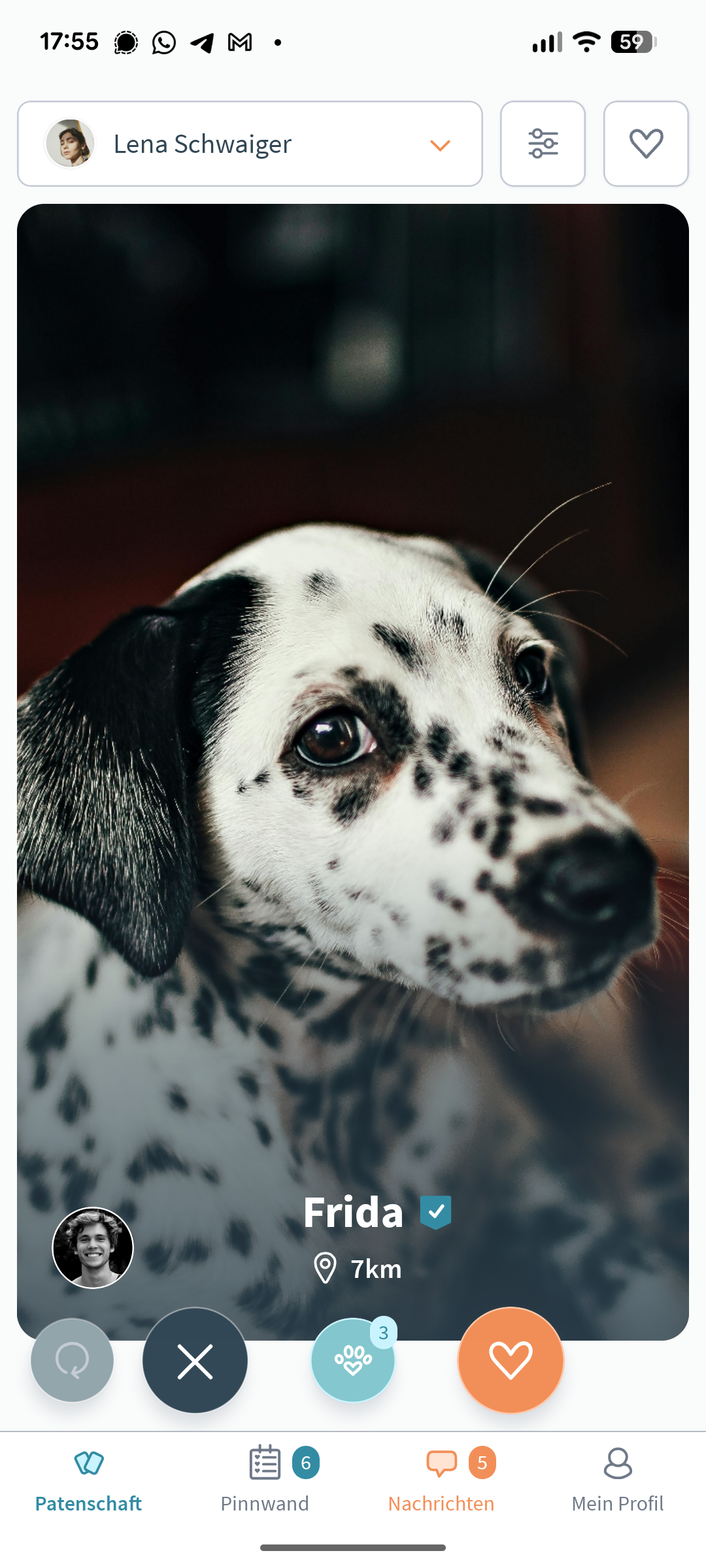 Profil eines Hundes bei der Patzo App