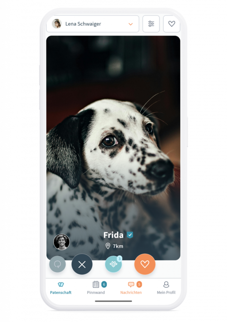 Patzo App Hund Screen