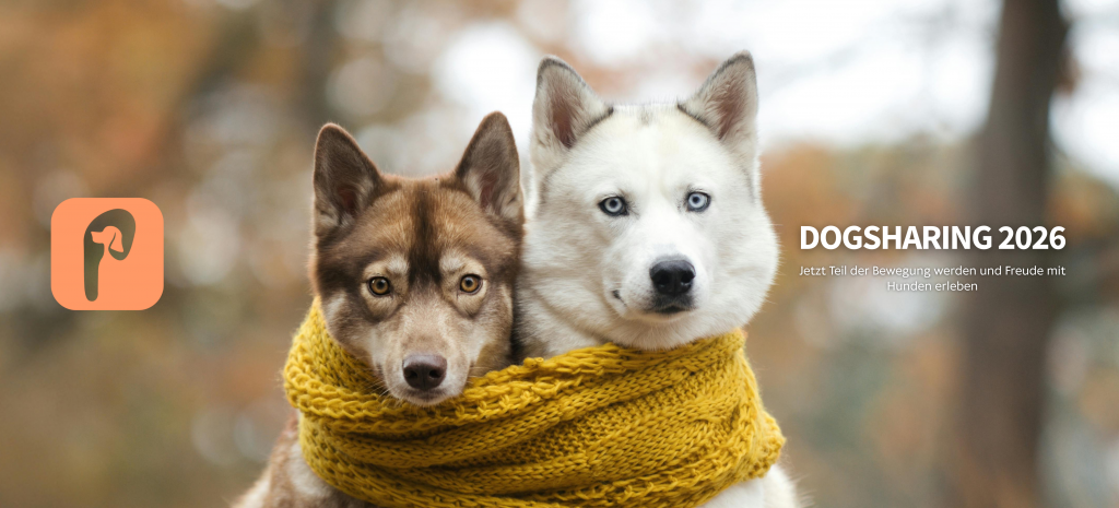 Dogsharing App 2026