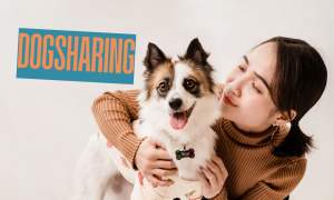 Dogsharing mit der Patzo App